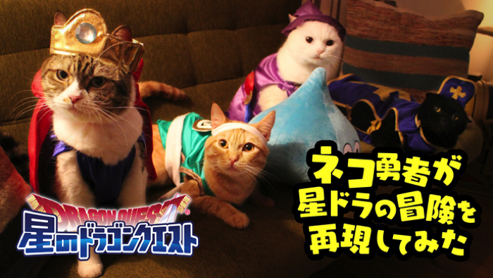 “Cat hero” will travel the world! The WEB movie of “Hoshino Dragon Quest” was released!