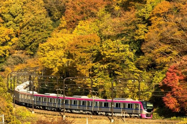 高尾山紅葉季到来 由高尾山出發的臨時指定列車 Mt Takao號 開始運行 Moshi Moshi Nippon もしもしにっぽん