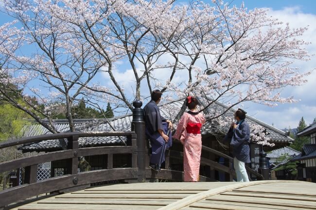 江戸ワンダーランド日光江戸村 で江戸時代のお花見体験 Moshi Moshi Nippon もしもしにっぽん