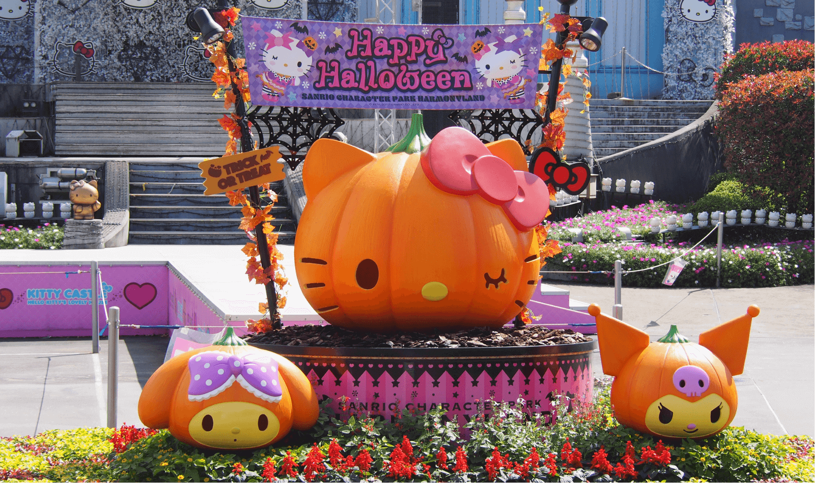  Hello Kitty My Melody Kuromi Pumpkins Halloween T-Shirt :  Clothing, Shoes & Jewelry