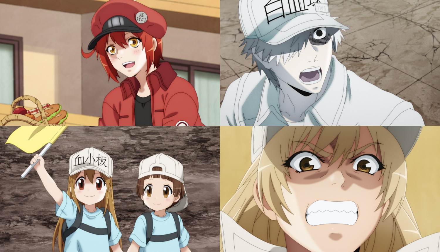 New Cells at Work! Film Key Visuals and Trailer Unveiled